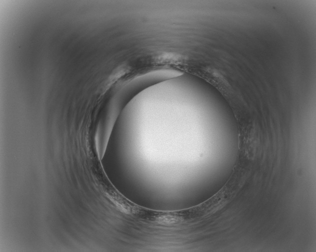X0000080120708200612151713