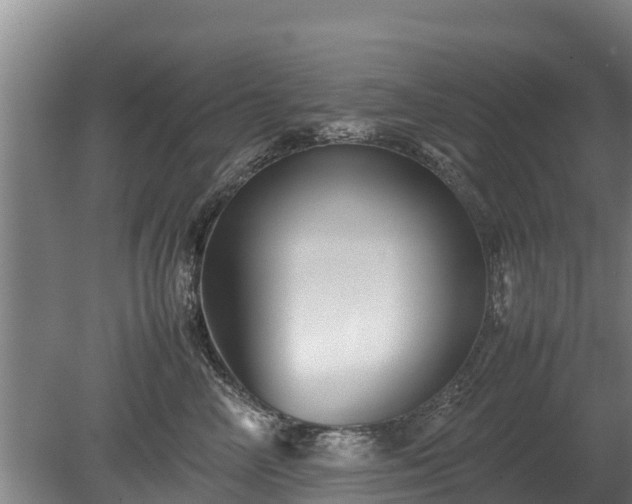 X0000080120714200612151712