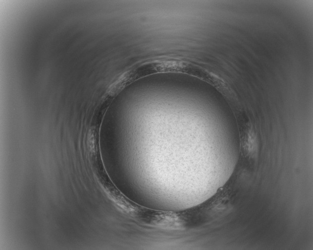 X0000080120715200612151712
