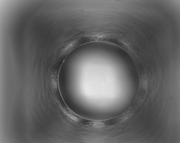 X0000080120719200612151712