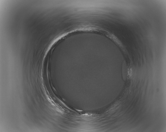X0000080120724200612151712