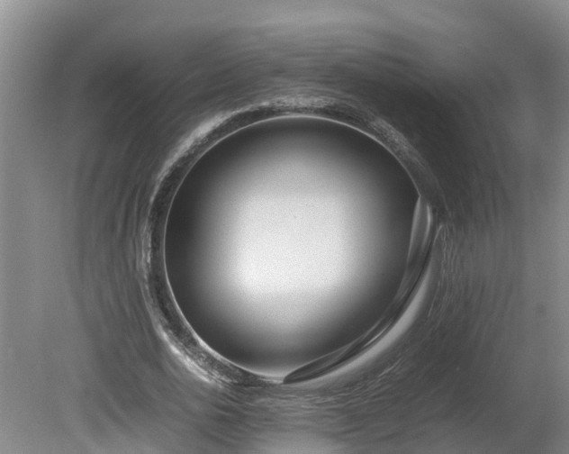X0000080120726200612151712