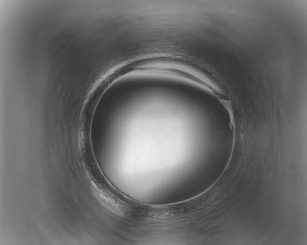 X0000080120728200612151712