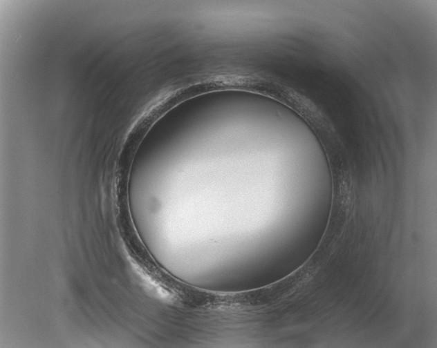 X0000080120730200612151712
