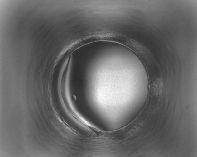X0000080120732200612151712