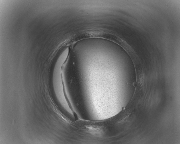 X0000080120733200612151712