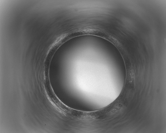 X0000080120734200612151712