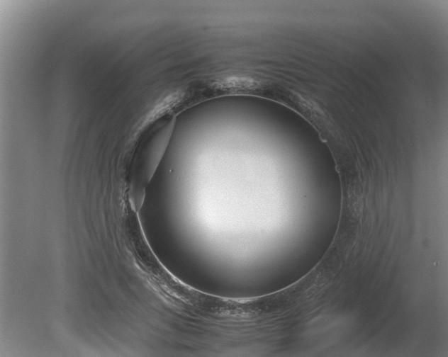 X0000080120735200612151712