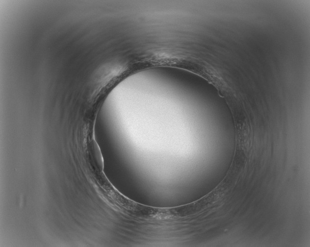 X0000080120742200612151712