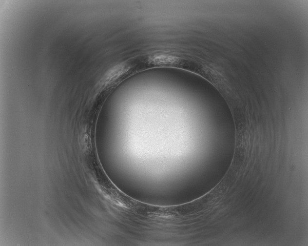 X0000080120743200612151712