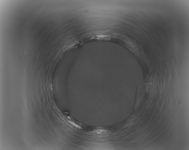 X0000080120748200612151712