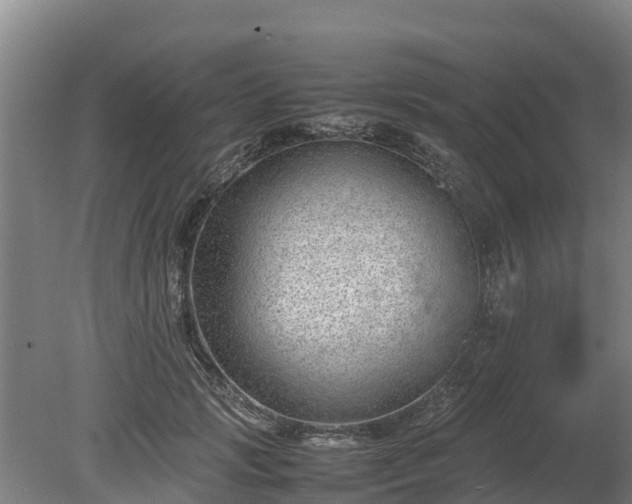 X0000080120749200612151712