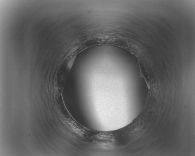 X0000080120756200612151712