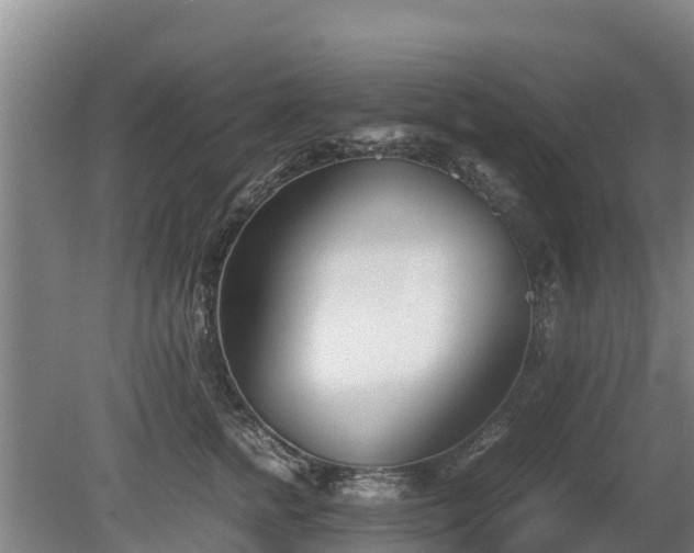 X0000080120758200612151712