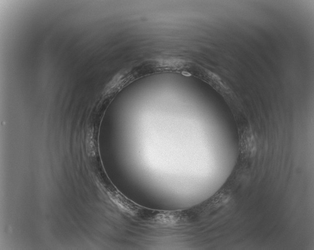 X0000080120764200612151712