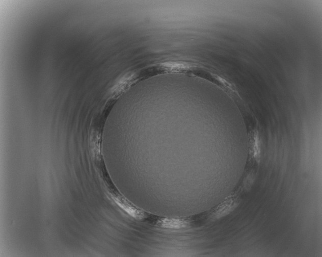 X0000080120766200612151712