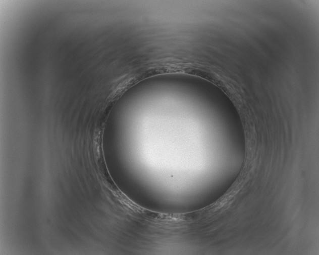 X0000080120768200612151712