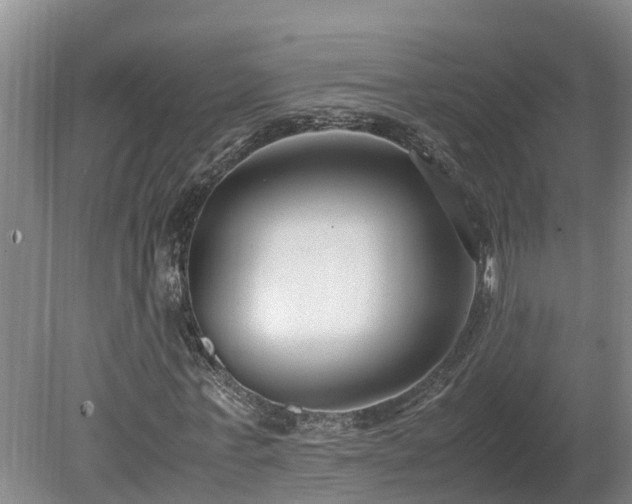 X0000080120771200612151712