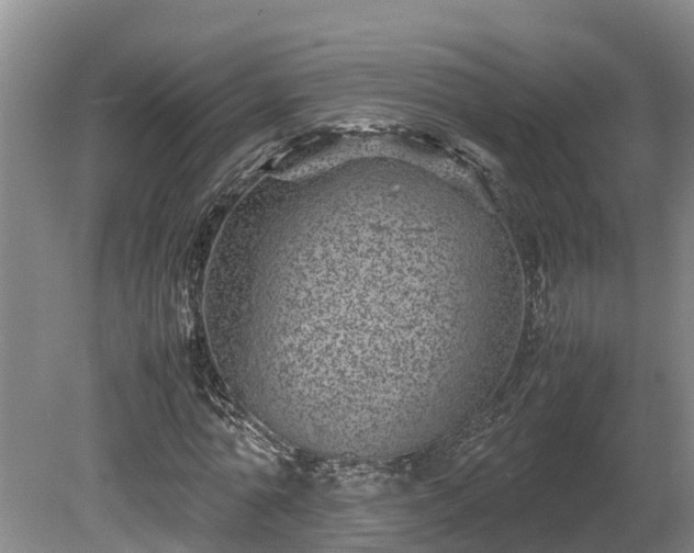 X0000080120774200612151711