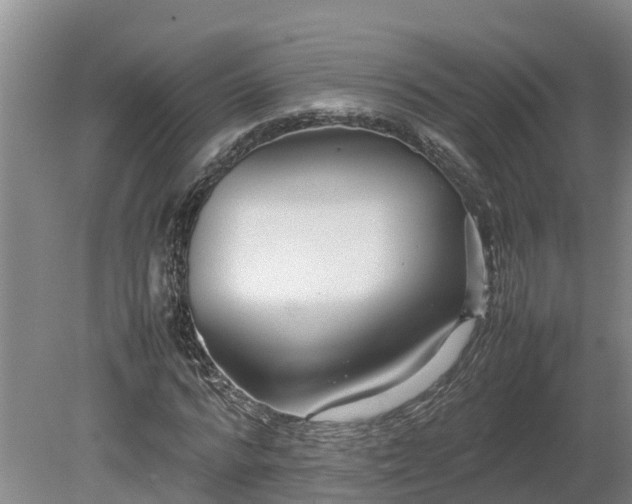 X0000080120776200612151711