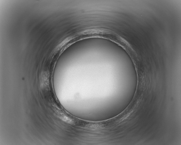 X0000080120778200612151711