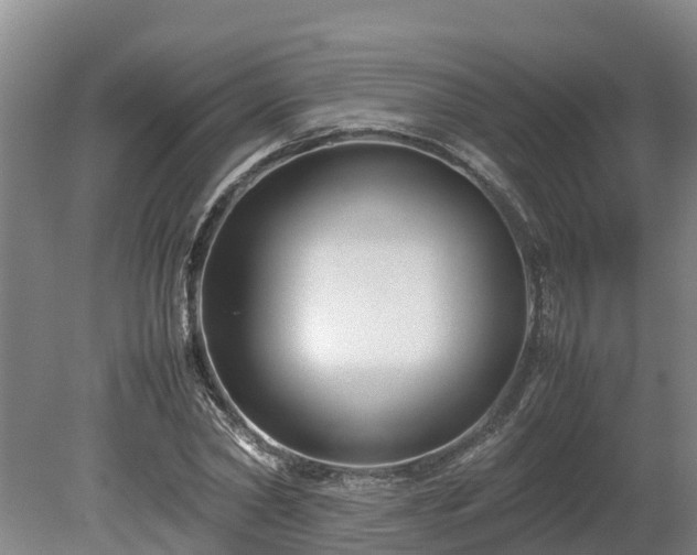 X0000080120782200612151711