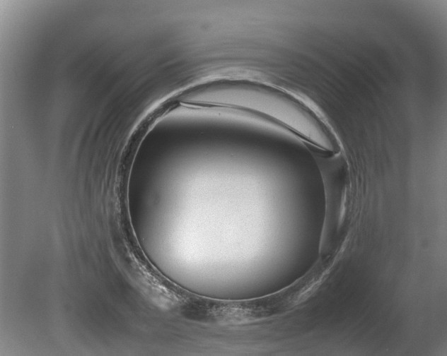 X0000080120783200612151711
