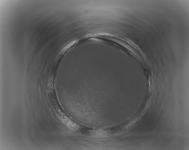 X0000080120785200612151711