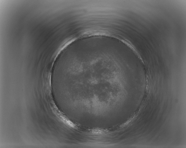 X0000080120790200612151711