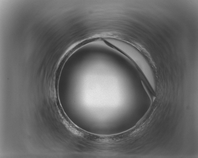 X0000080120792200612151711