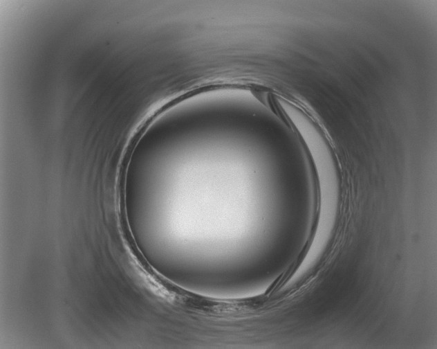 X0000080120795200612151711