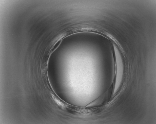 X0000080120801200612151711