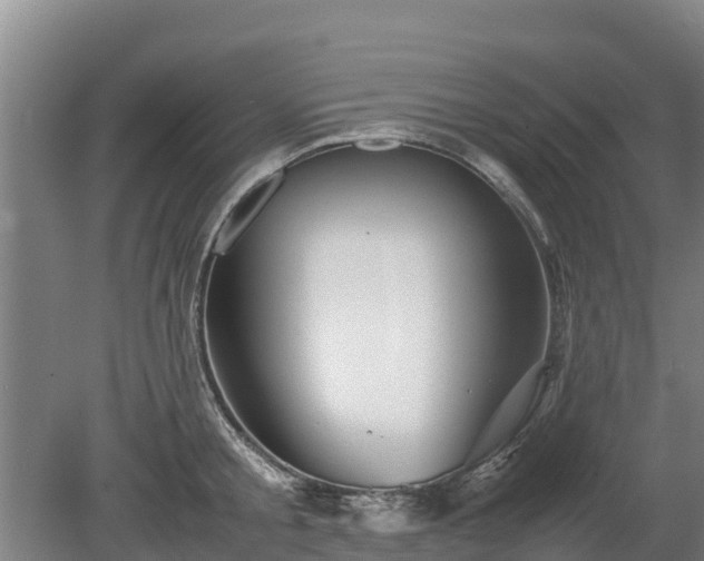 X0000080120805200612151711