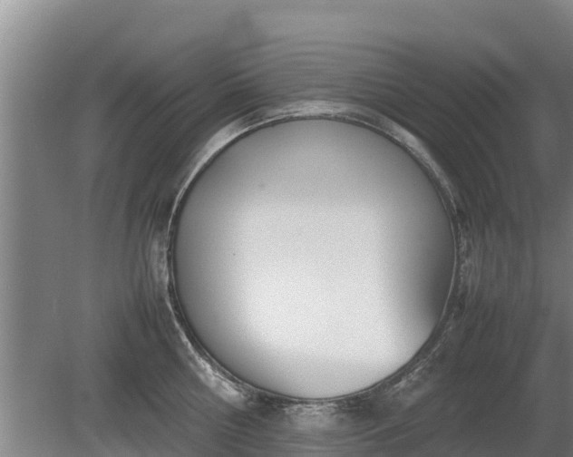 X0000080120810200612151711