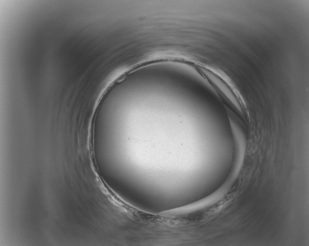 X0000080120815200612151711