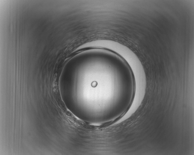X0000080120818200612151710