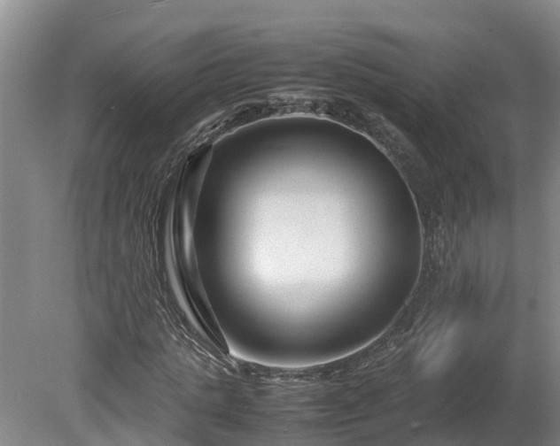 X0000080120821200612151710