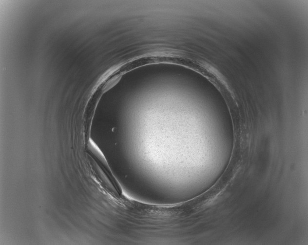 X0000080120829200612151710