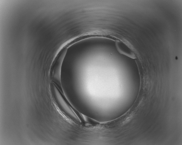 X0000080120838200612151710