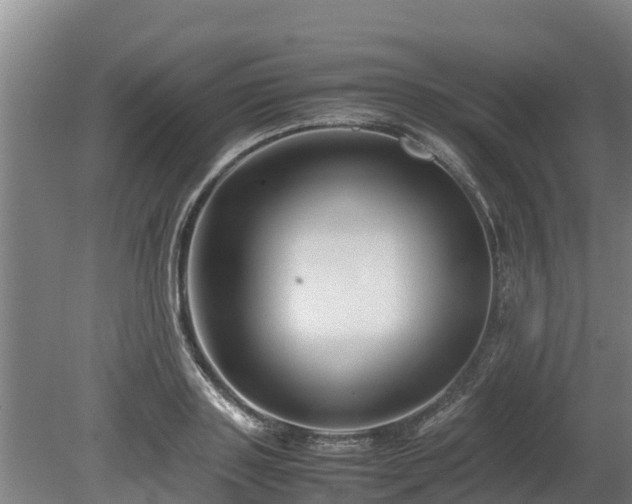 X0000080120843200612151710