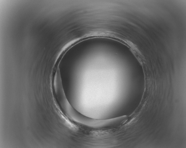 X0000080120846200612151710