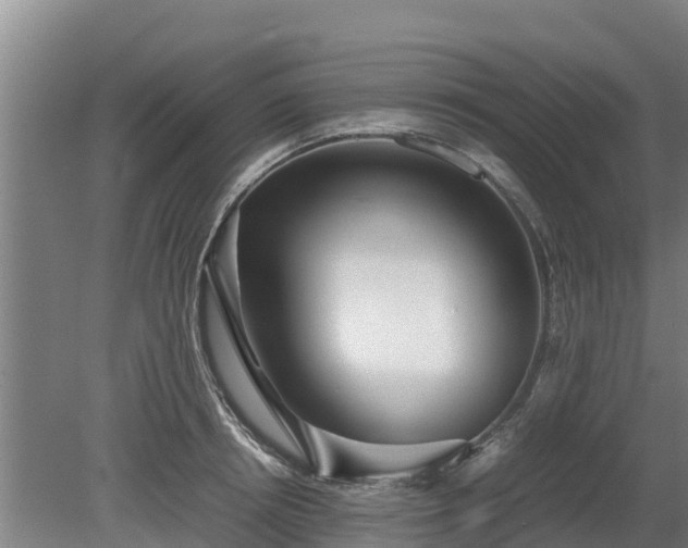 X0000080120850200612151711