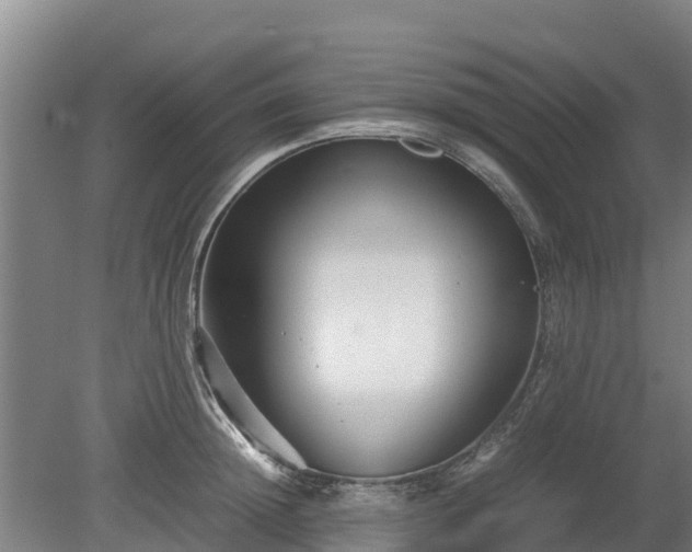 X0000080120852200612151711