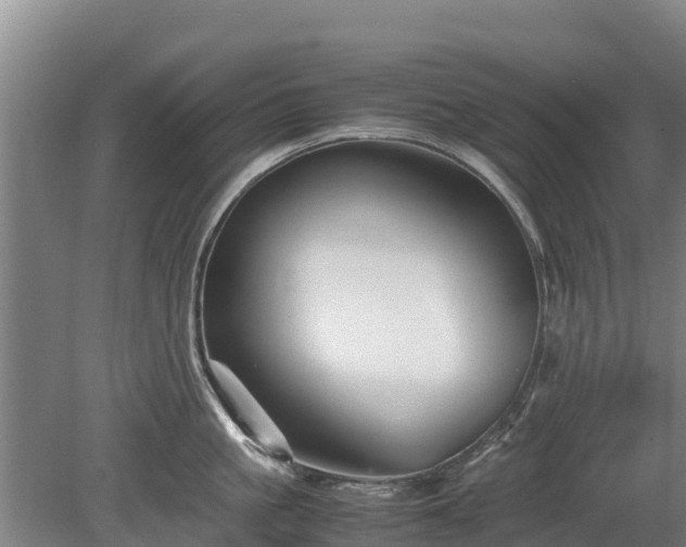 X0000080120861200612151711