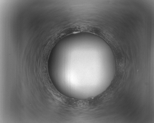 X0000080120865200612151710