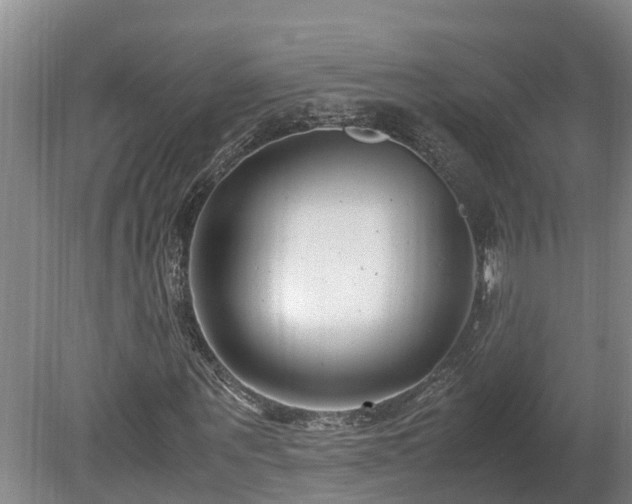 X0000080120867200612151710