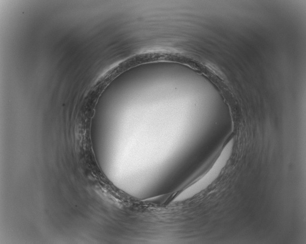 X0000080120872200612151710