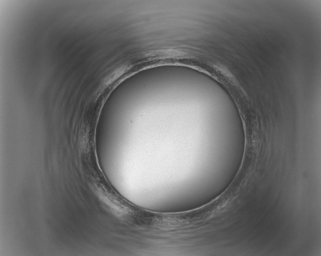 X0000080120873200612151710