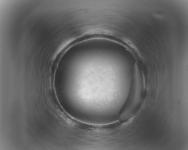 X0000080120877200612151710