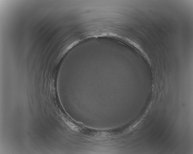 X0000080120881200612151710
